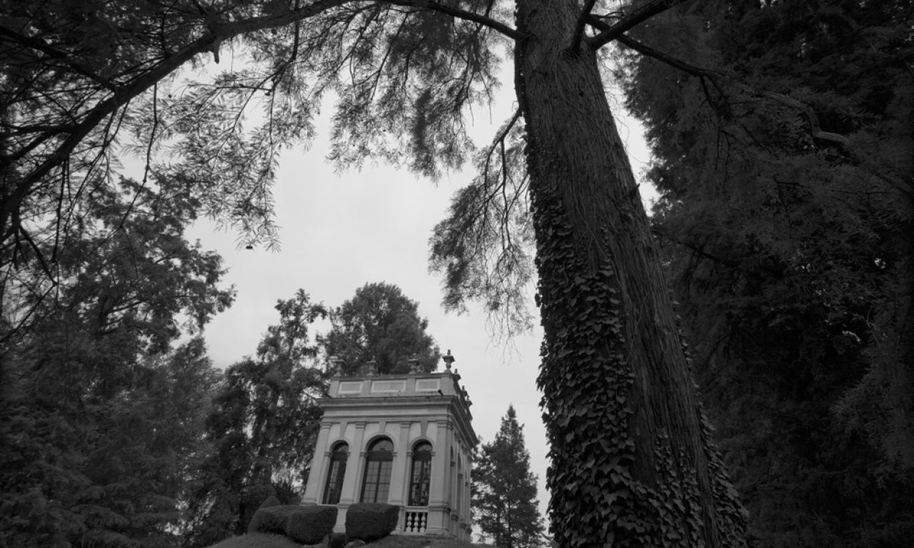 Immagine hero di Villa Pisani